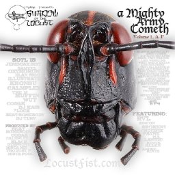 a-mighty-army-cometh-vol1-a-f-by-shadow-of-the-locust